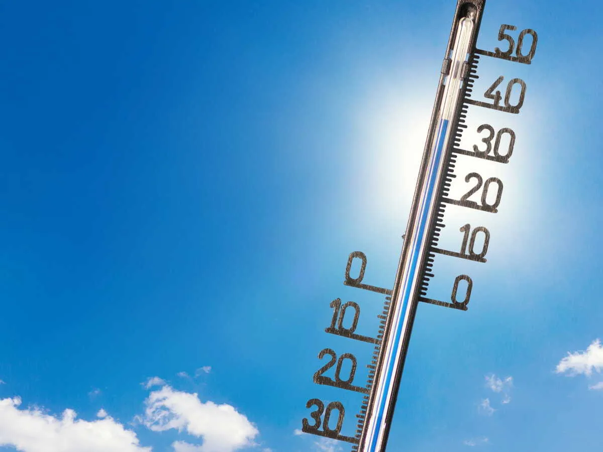 Canicule 2026 : 33% Français prêts à déménager, démarches CAF