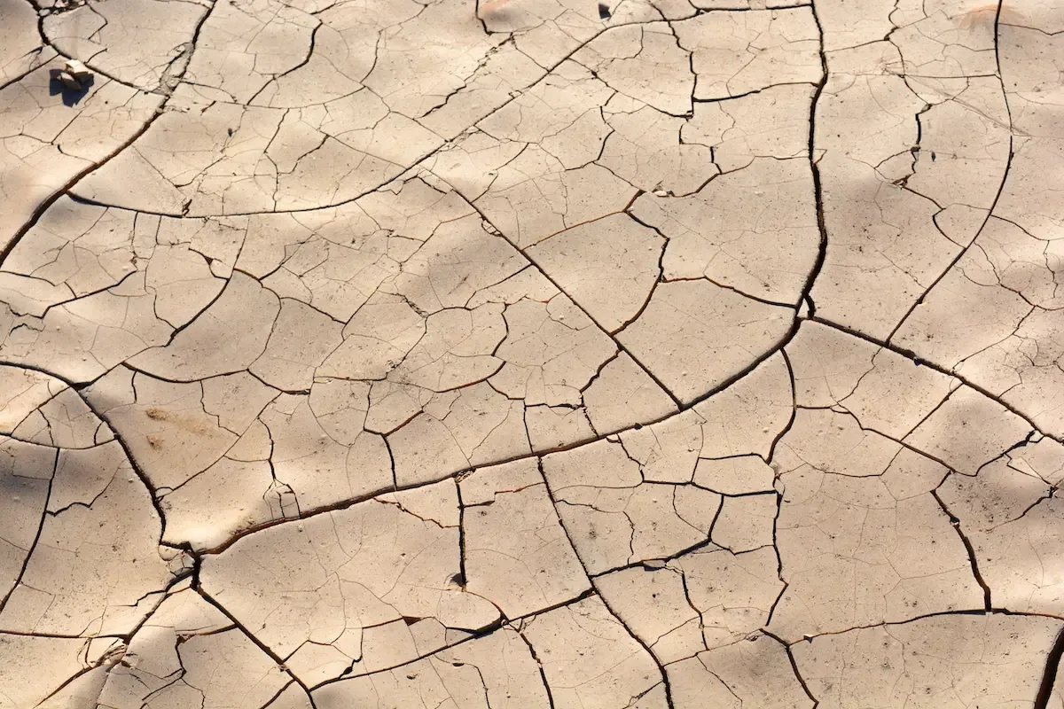 Canicule 2026 : coût de 10-15 milliards € et impact aides sociales