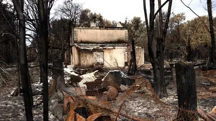 Incendie Gironde : demande chômage partiel 100% pour TPE et indépendants