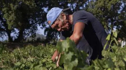 Retraités saisonniers : travailler l'été pour compléter une petite pension