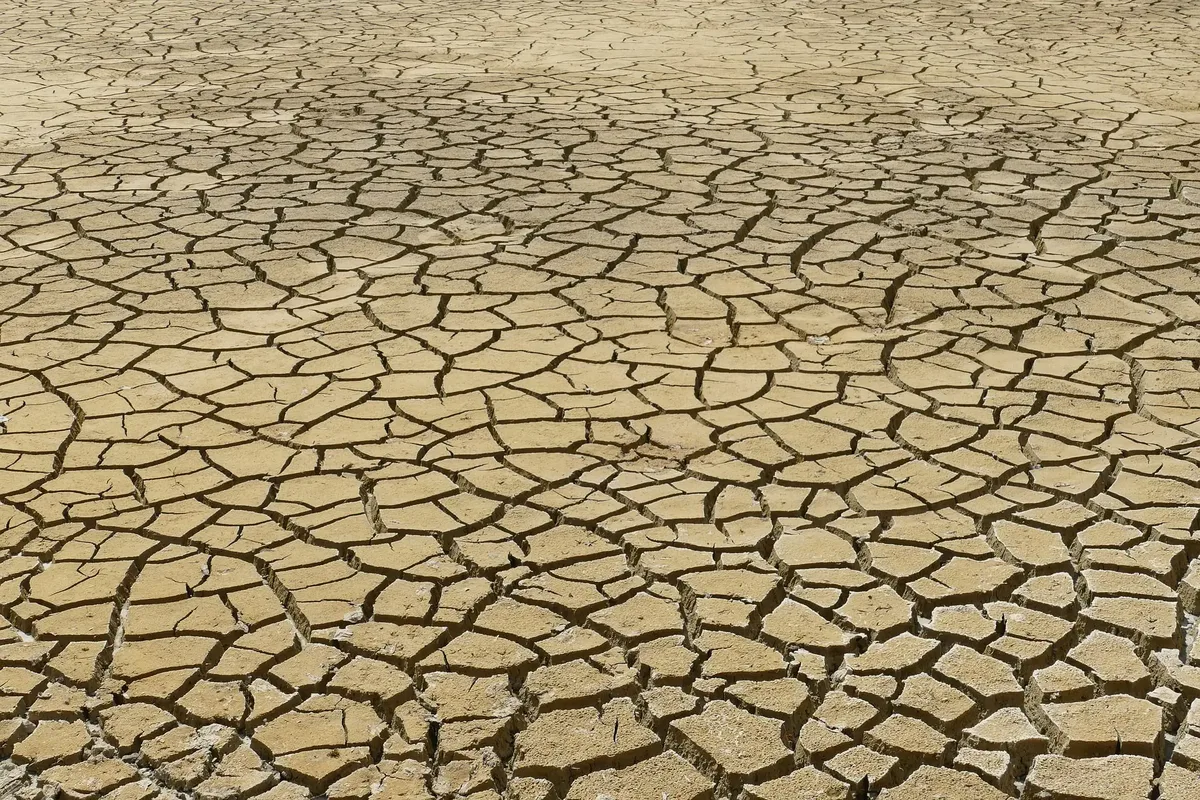 Sécheresse 2026 : état critique des nappes phréatiques en France
